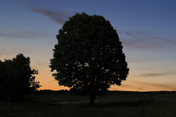 Truth and perception